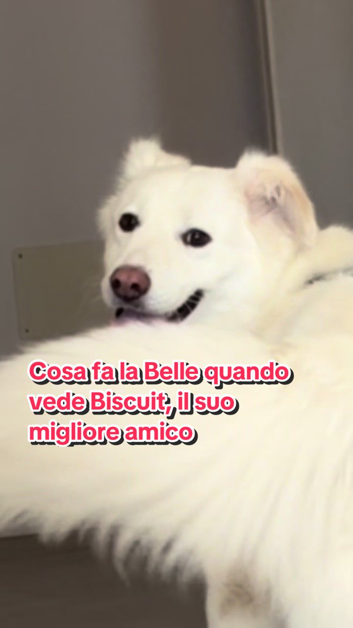 @Family_pelosa🐱🐰🐶🐮