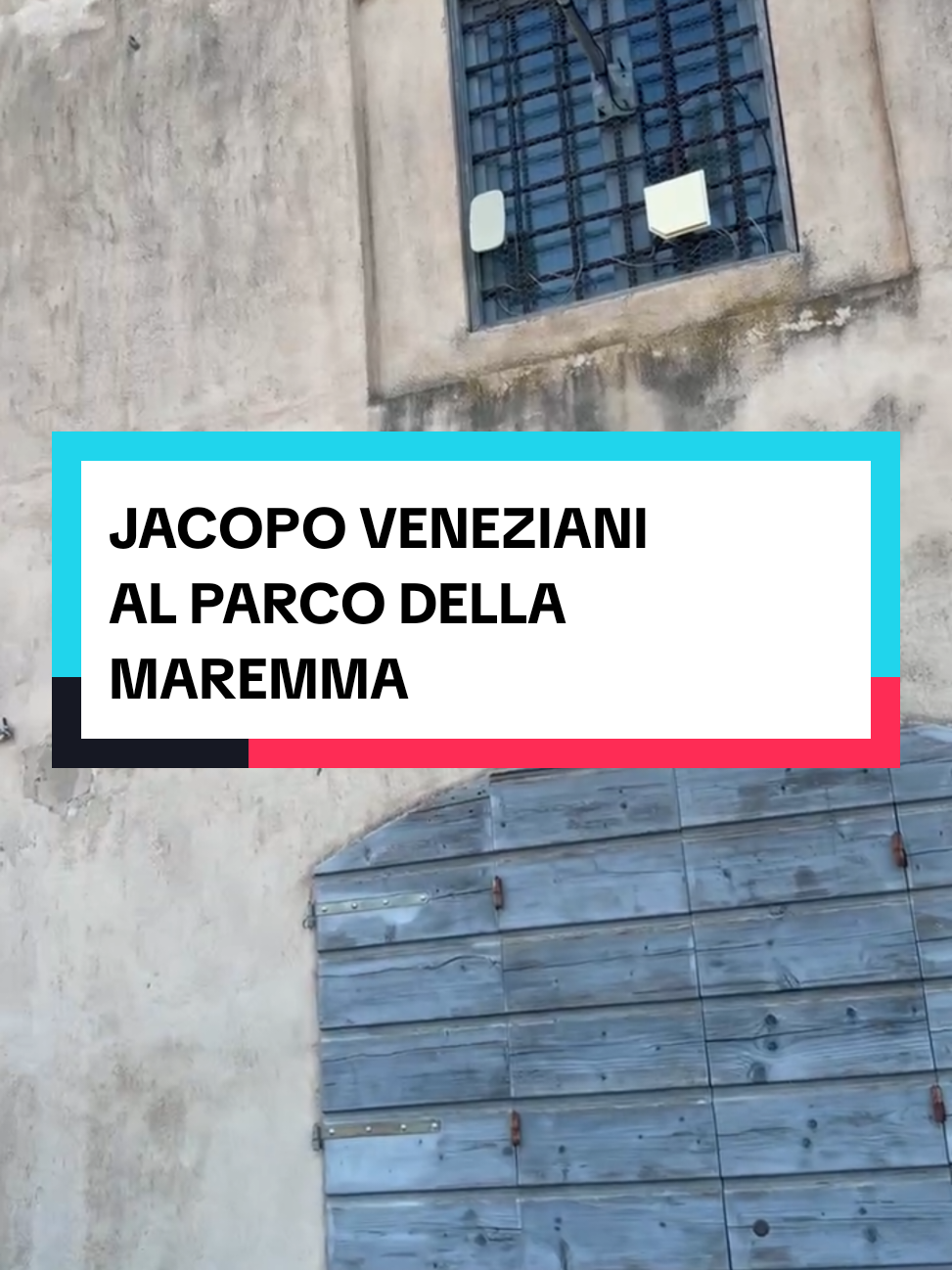 @Libreria Mondadori Grosseto ๐