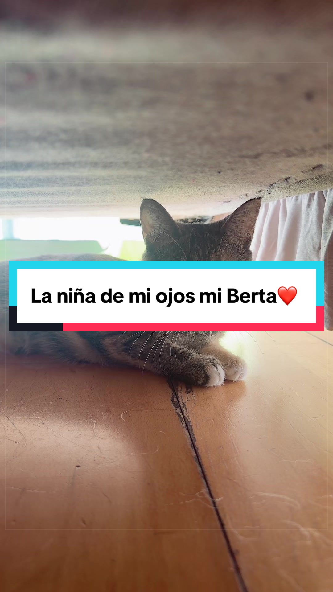 @liobcn7