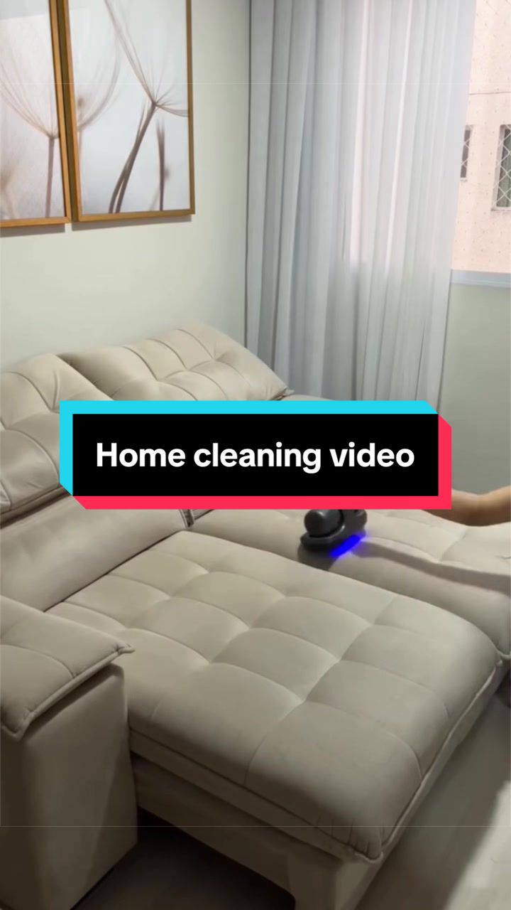 @the_clean_canvas