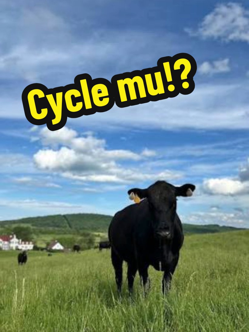 @Ride Comparisons