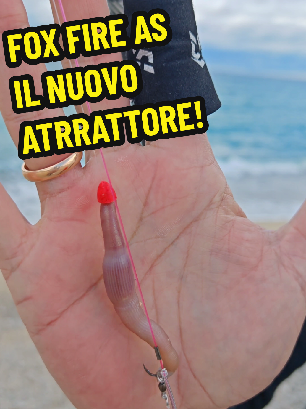 @ALESSANDRO SILVESTRI