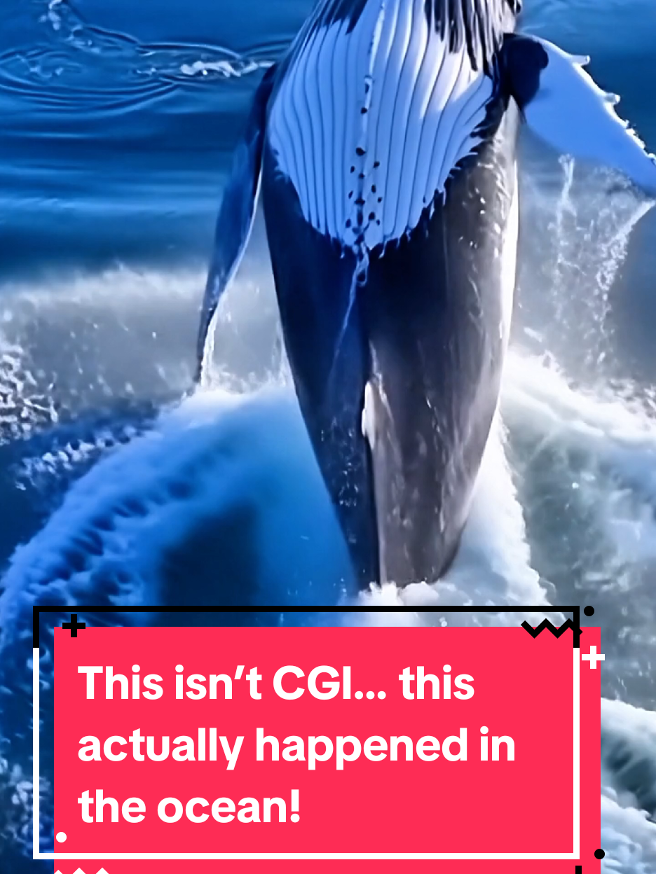 @Sea monsters
