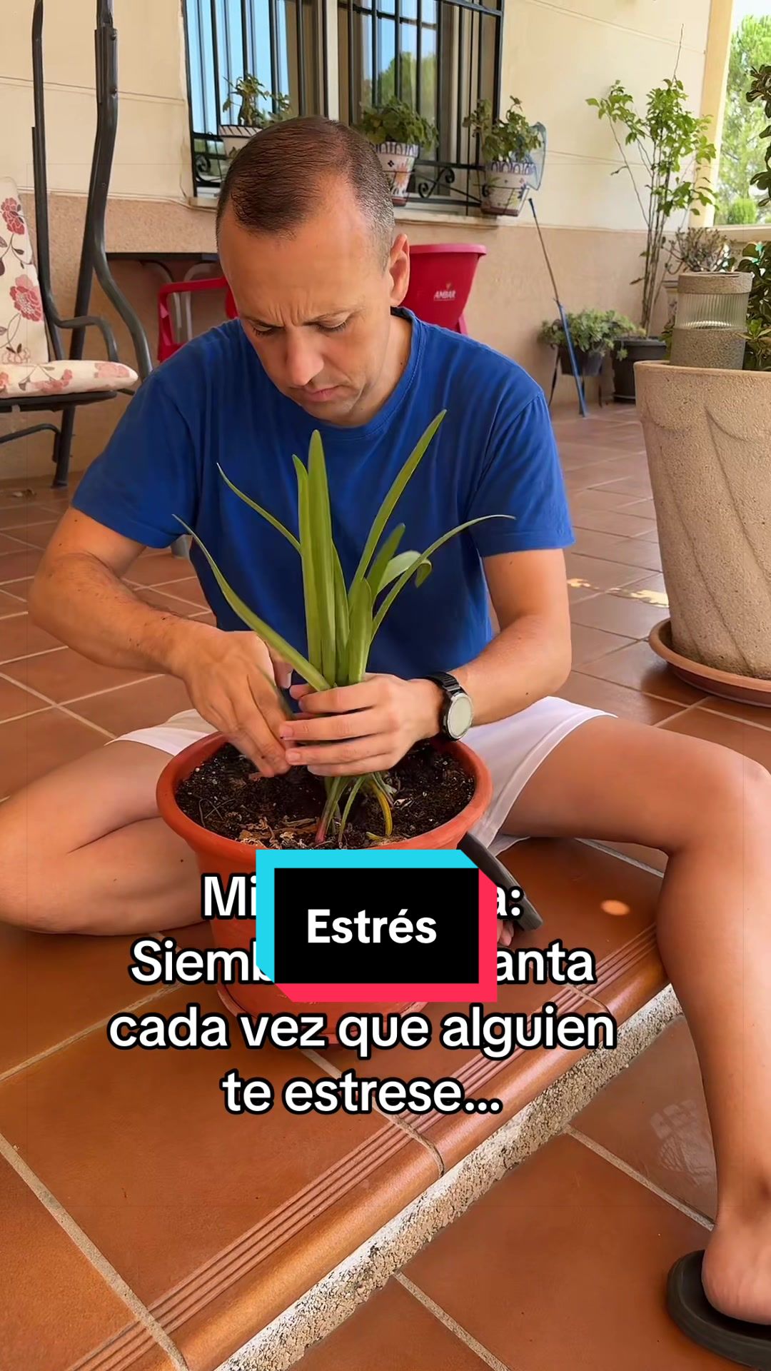 @David Rosillo
