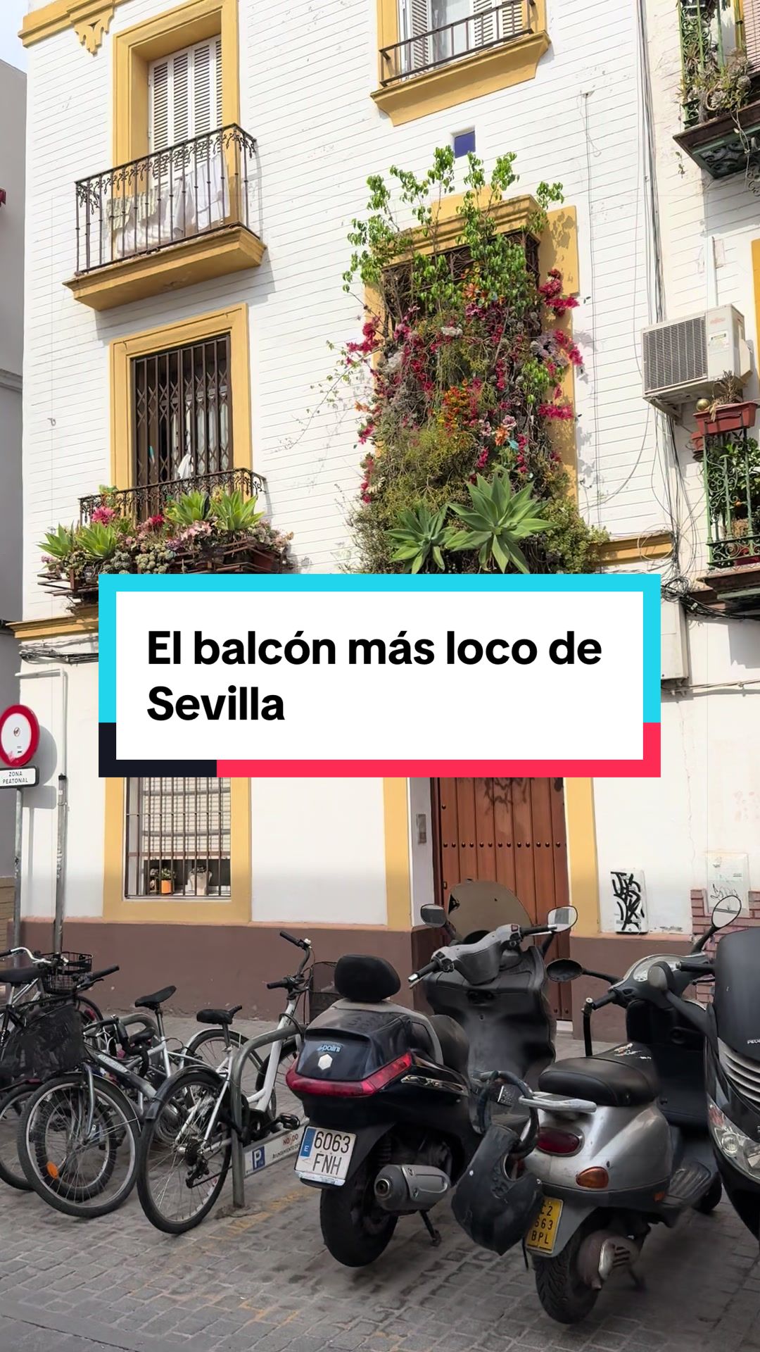 @rancio
