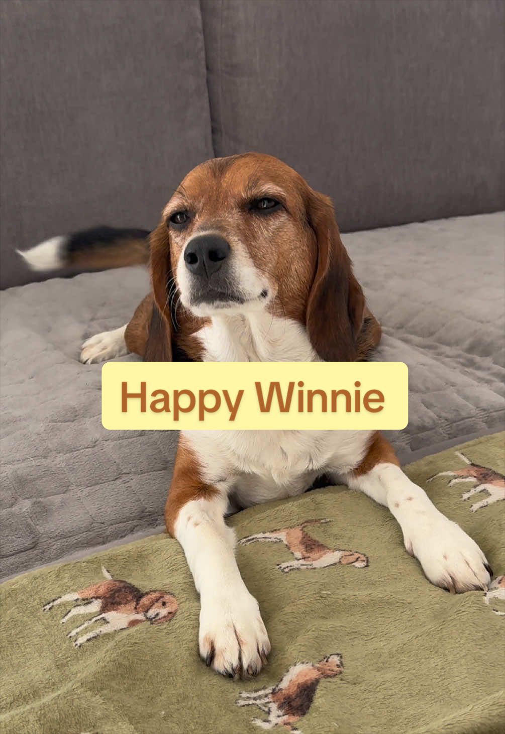 @Winnie&Sophie