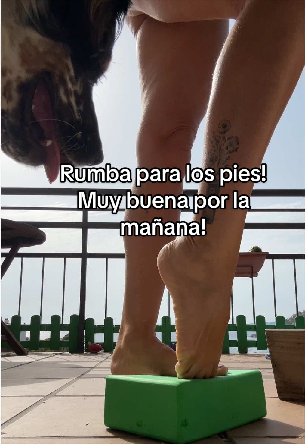 @PuraEnergía50+