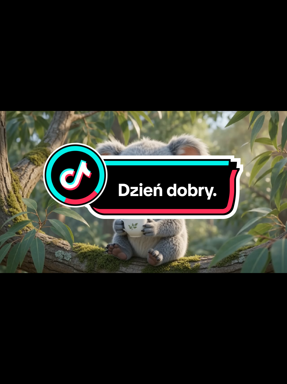 @Wesolutki Koala 🐨 😎