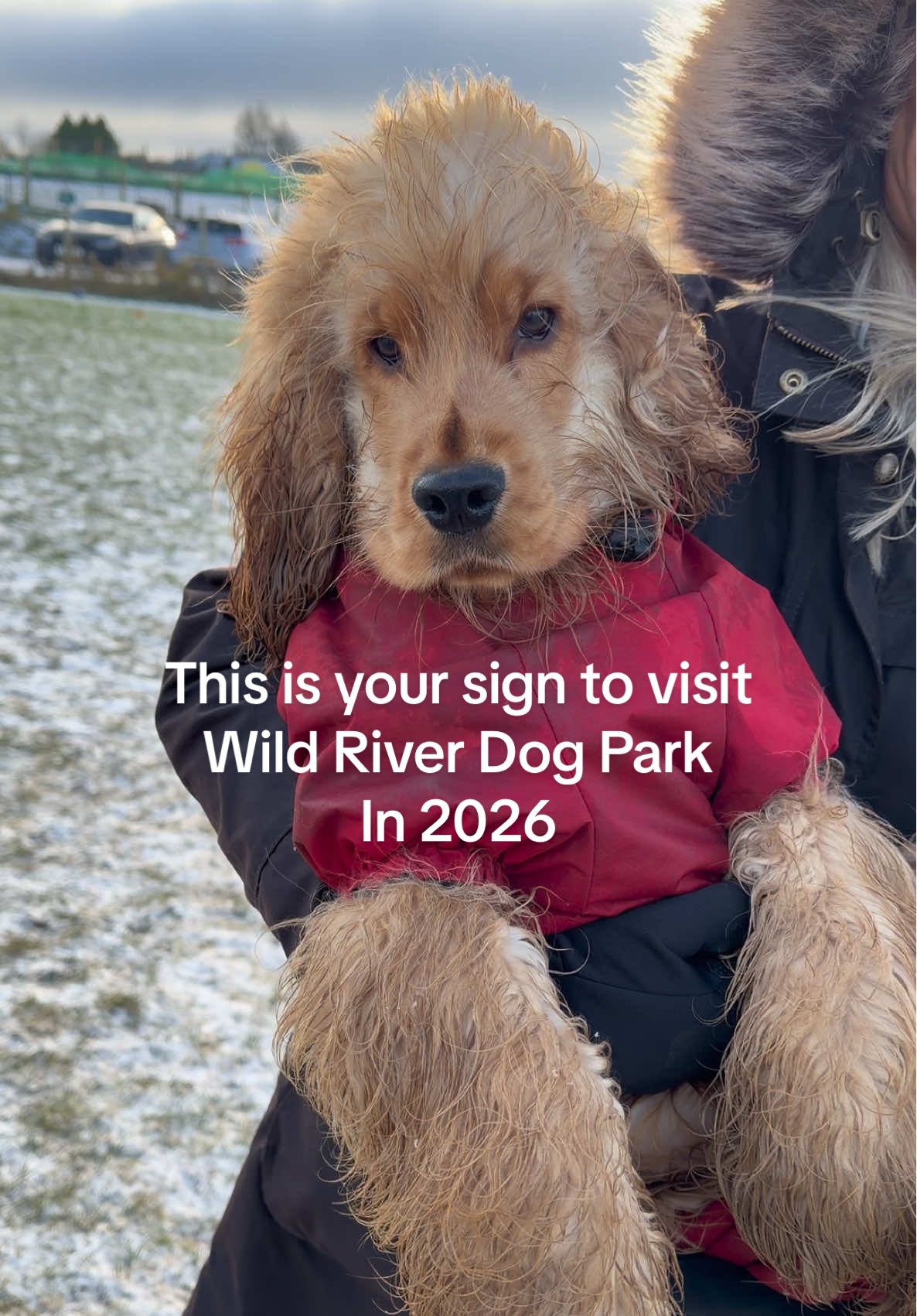 @Wild River Dog Park