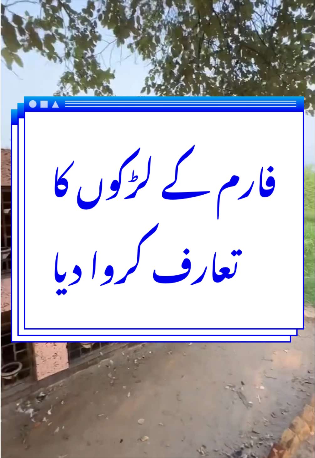 @Poultry Markaz