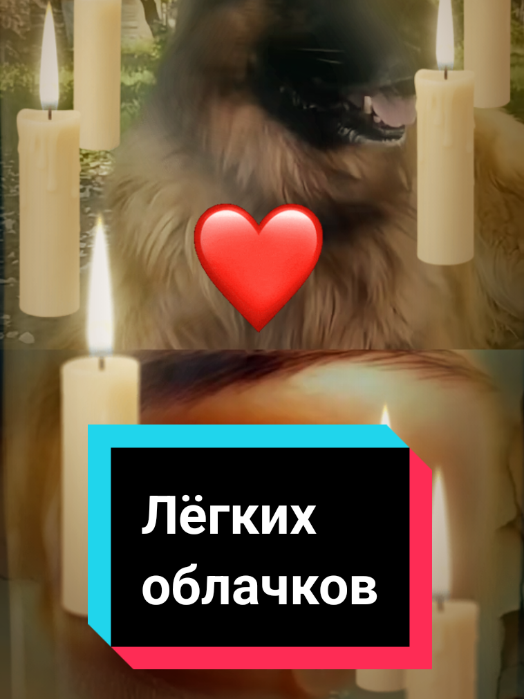 @ИнаЯ