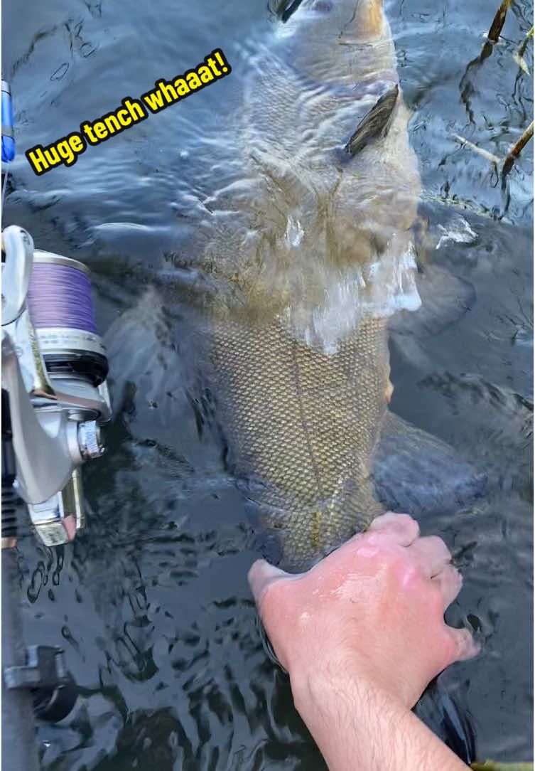 @Jannick Fishing
