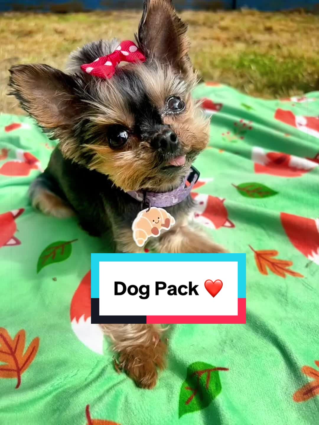 @Pepper_and_Peaches