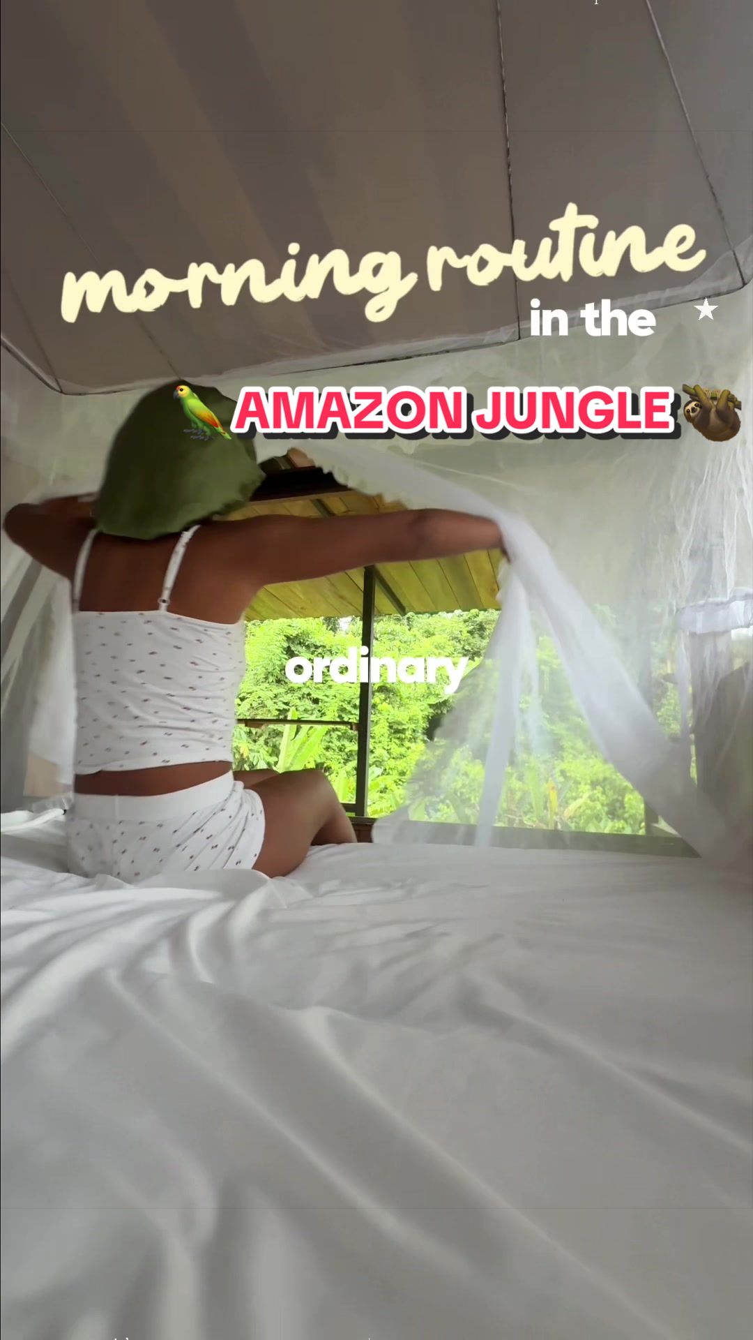 @dominique