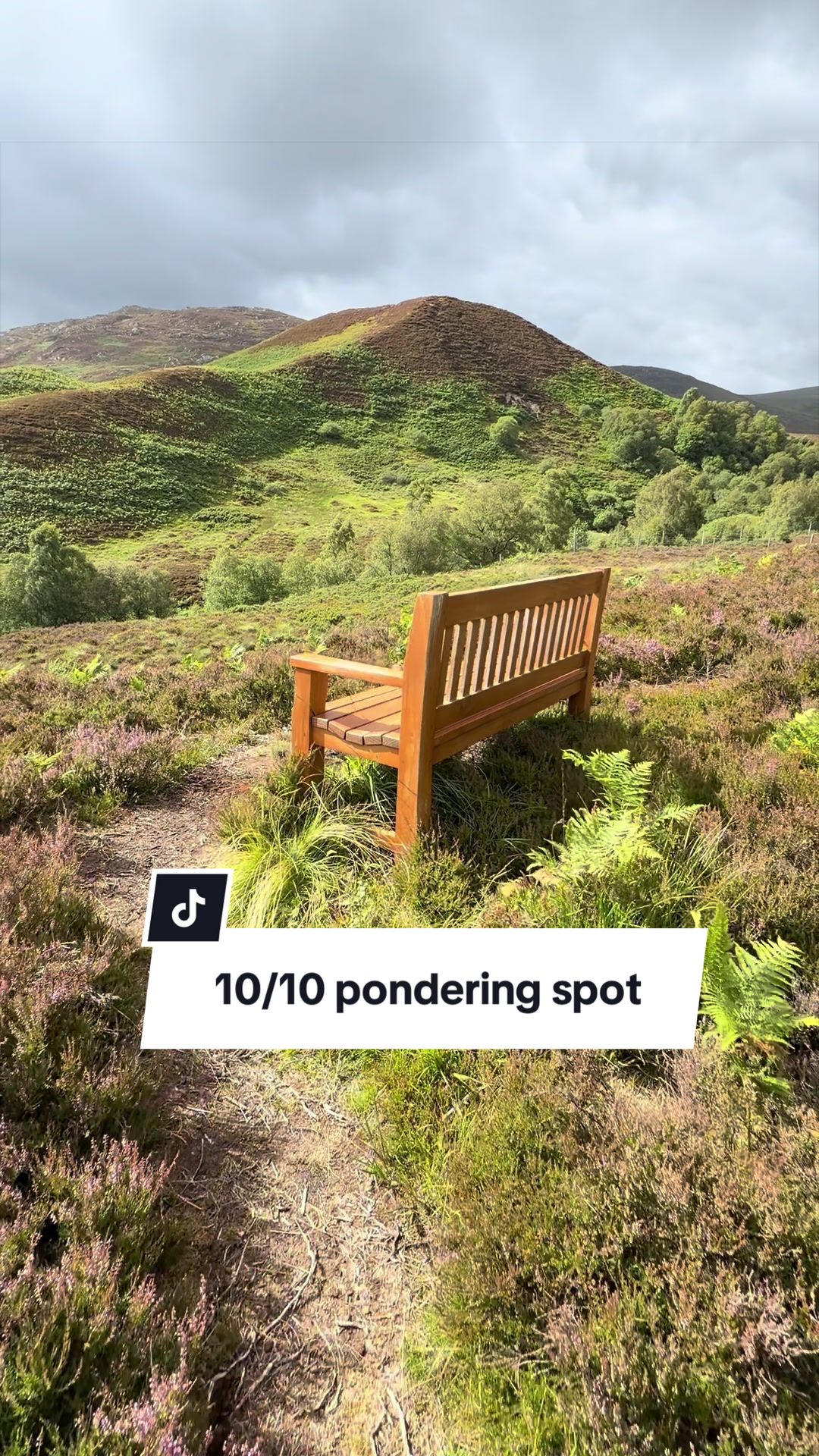 @Taylors Treks 🏴