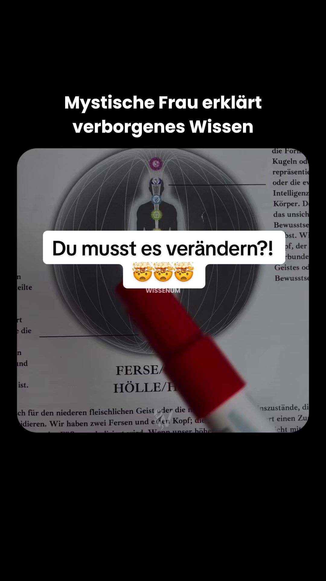 @thewissenum
