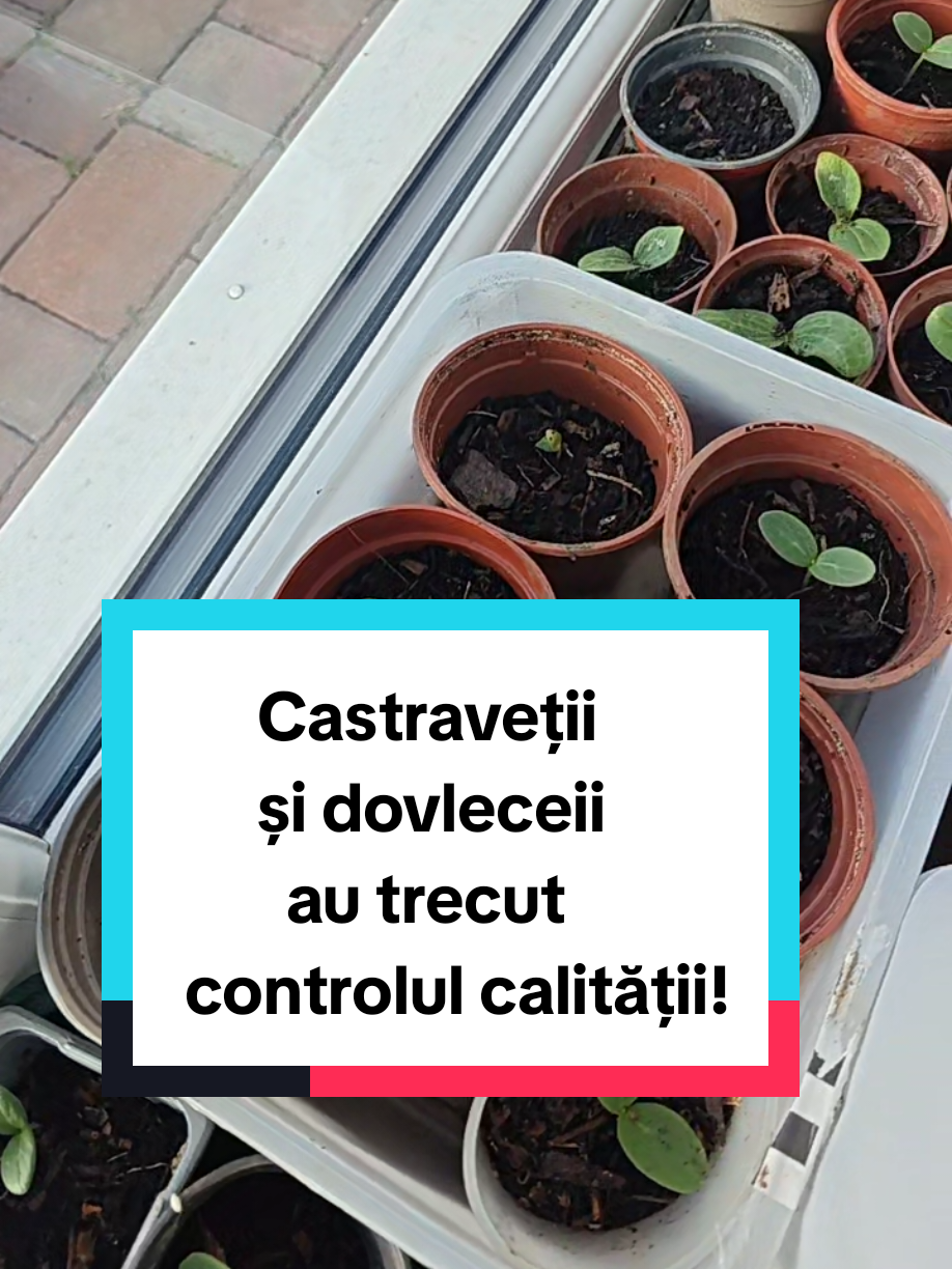 @D'ale Florinei👨&zwj;👩&zwj;👧&zwj;👦🛫🌸