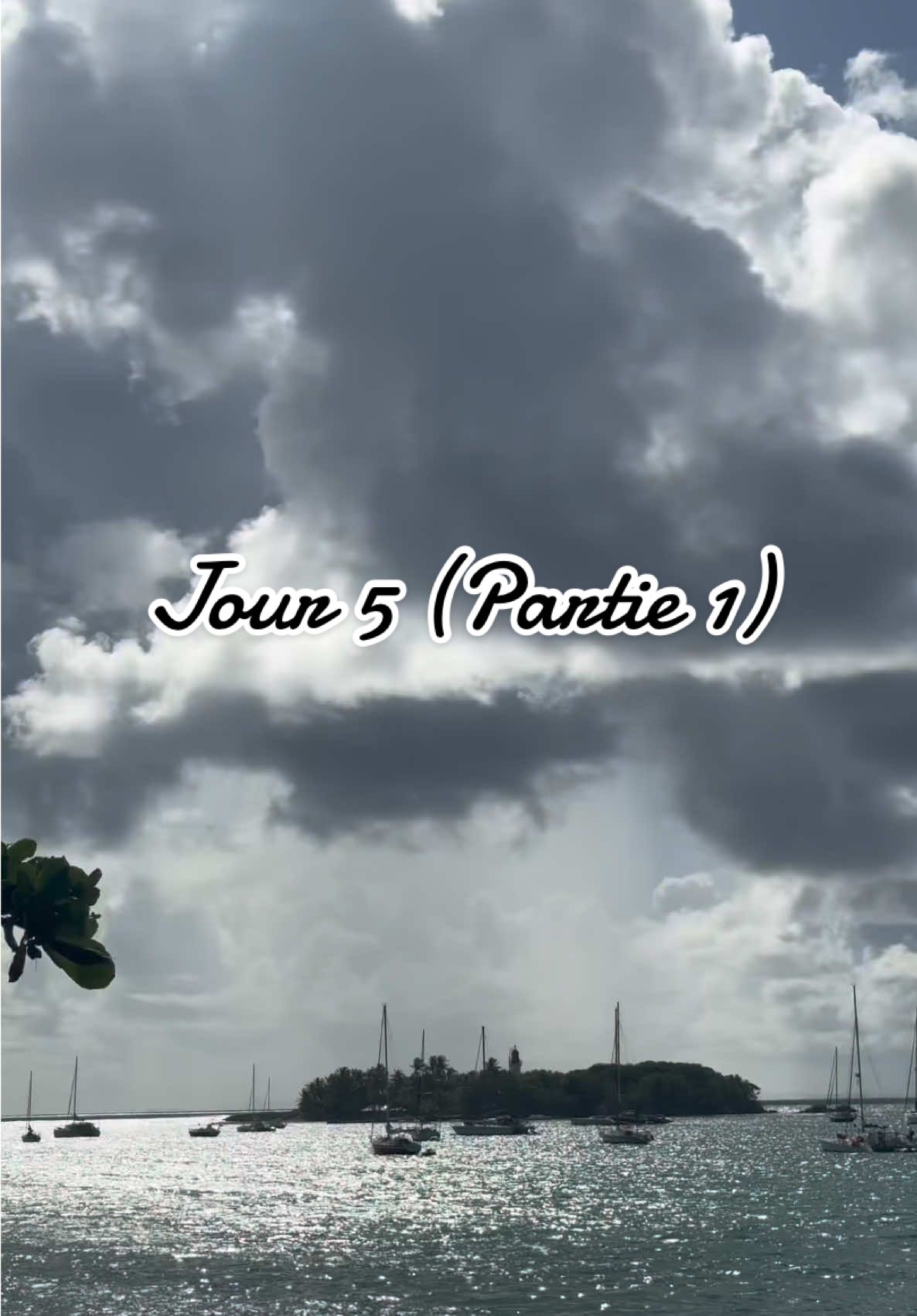 @SoDrᥱ́ᥲ ♡