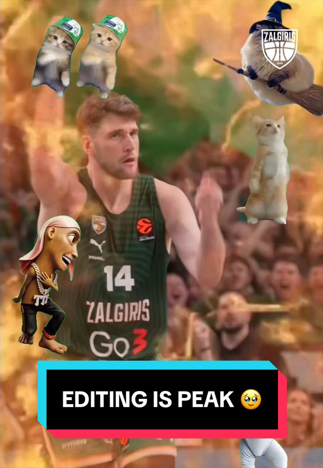 @bczalgiris