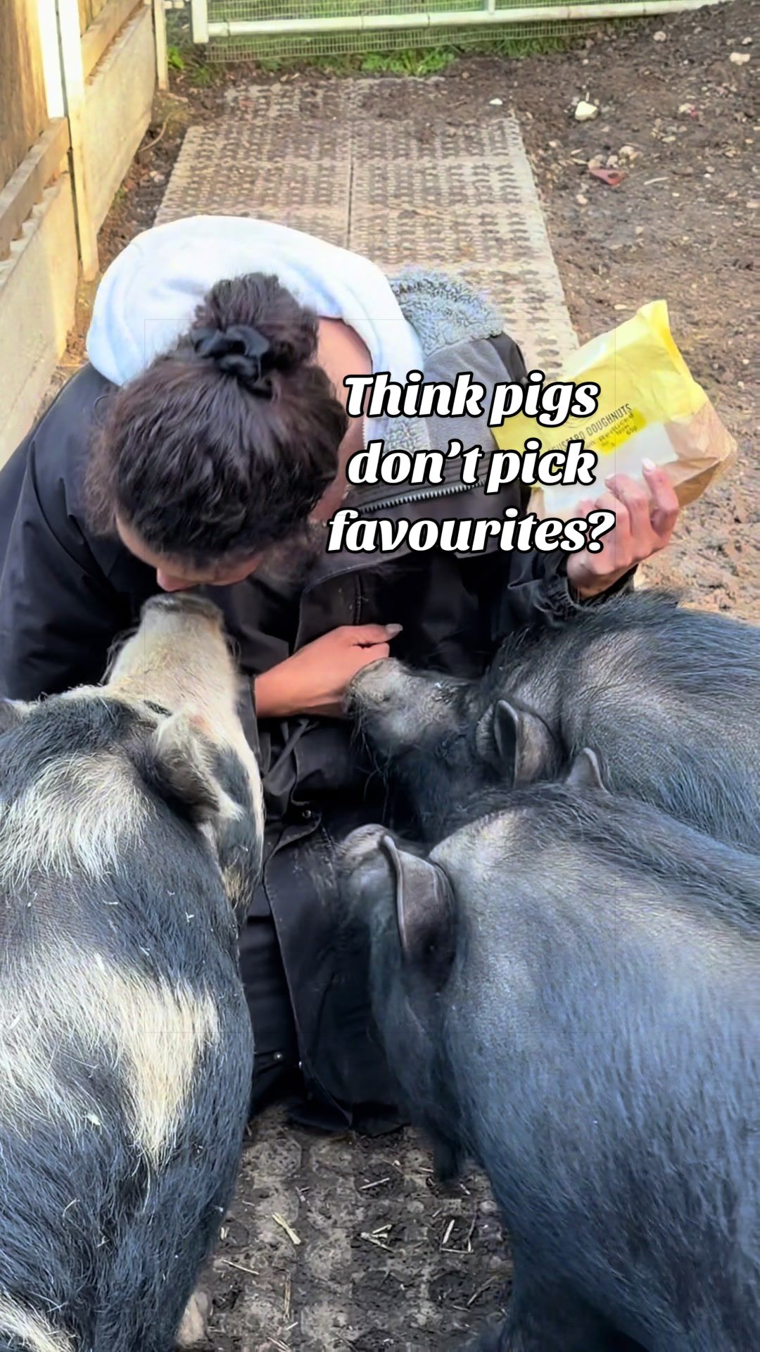 @AhimsaAnimalSanctuaryUK