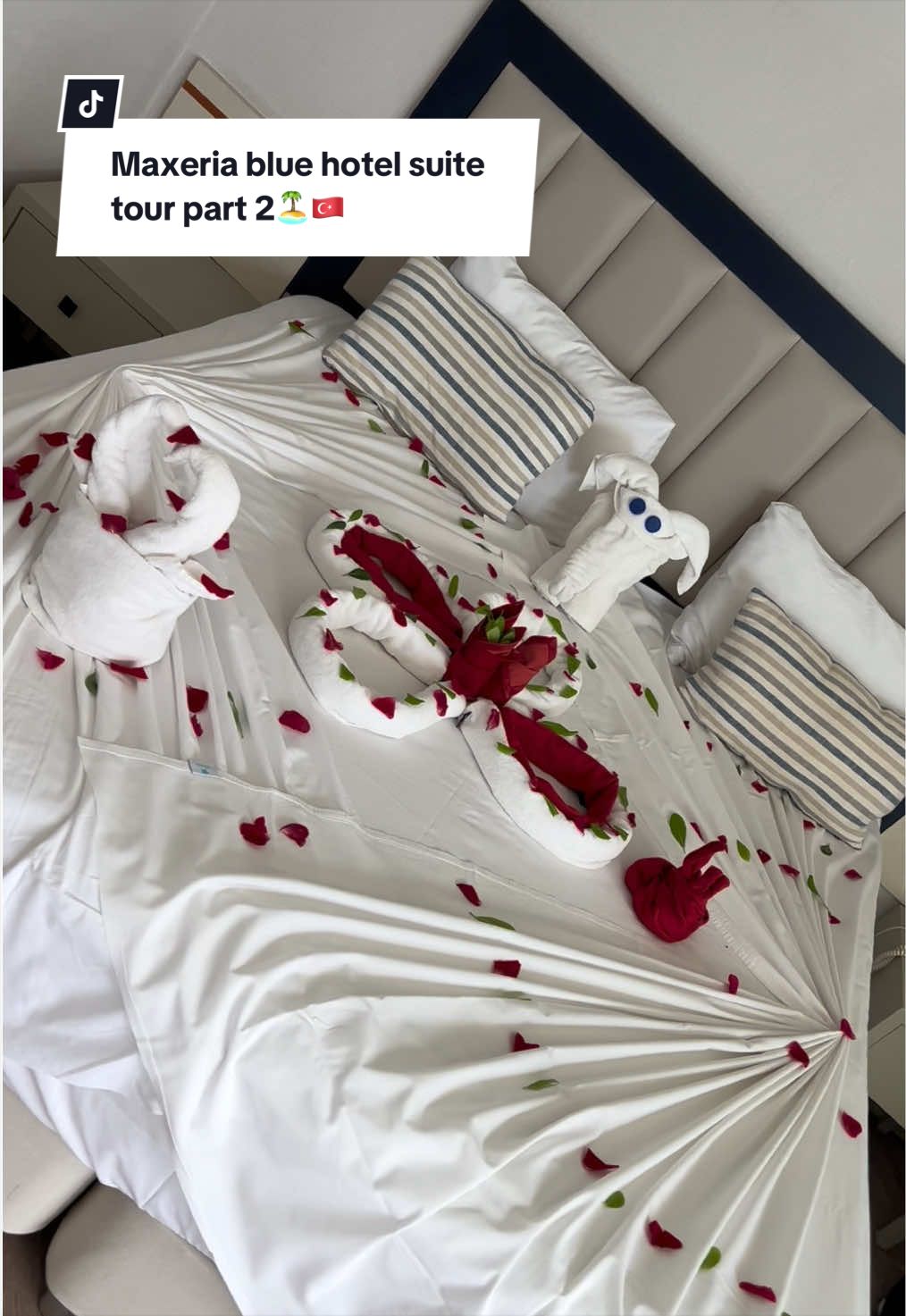 @georgiaaax🐚🤎🥥🤍