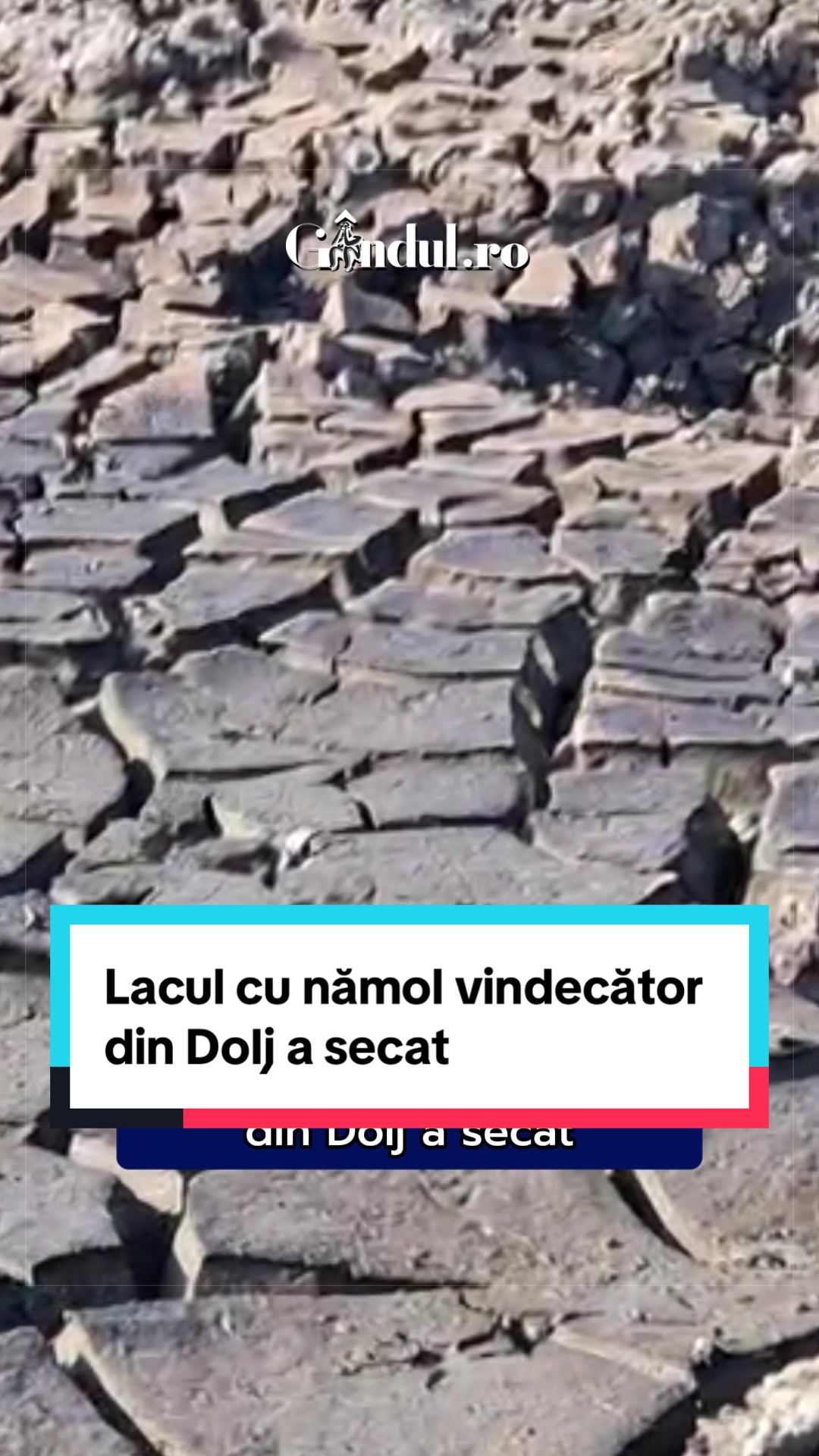 @Gandul Romania