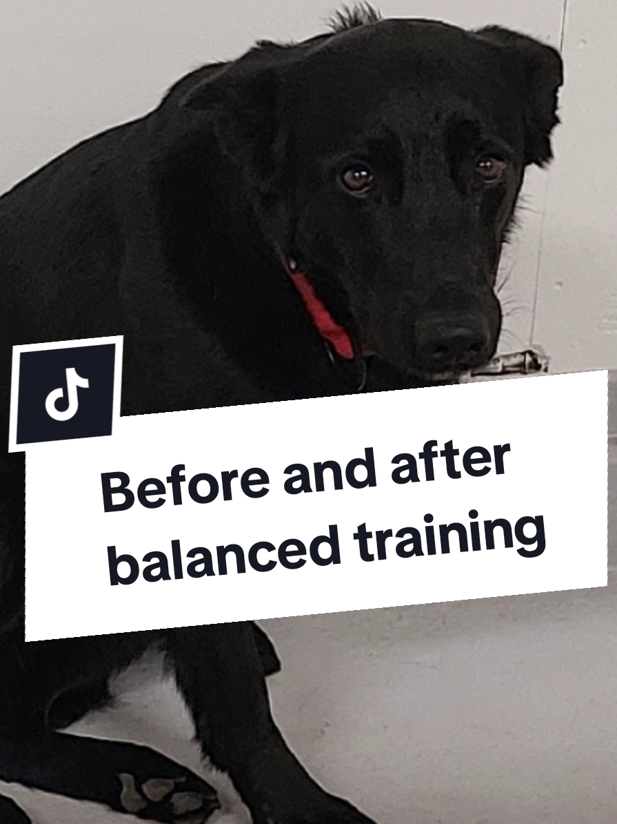 @offbrandgsd