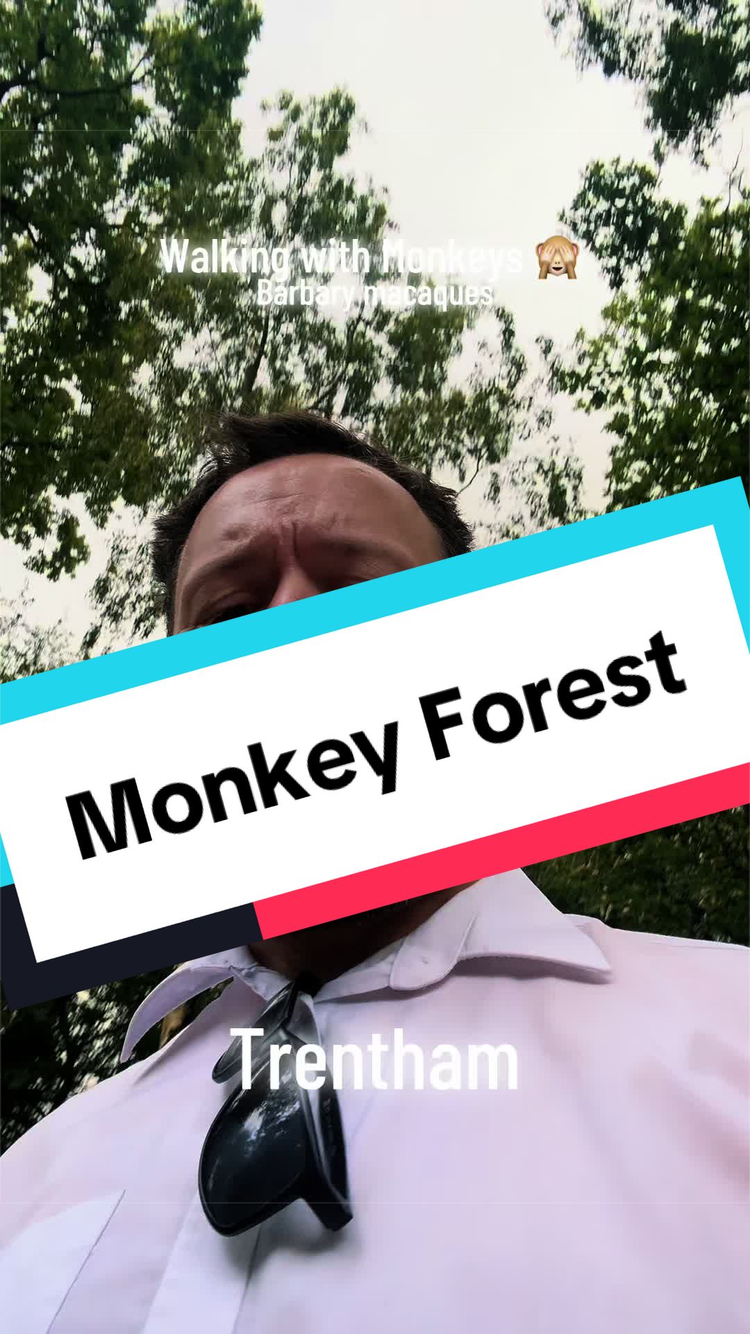 @Explore With Me