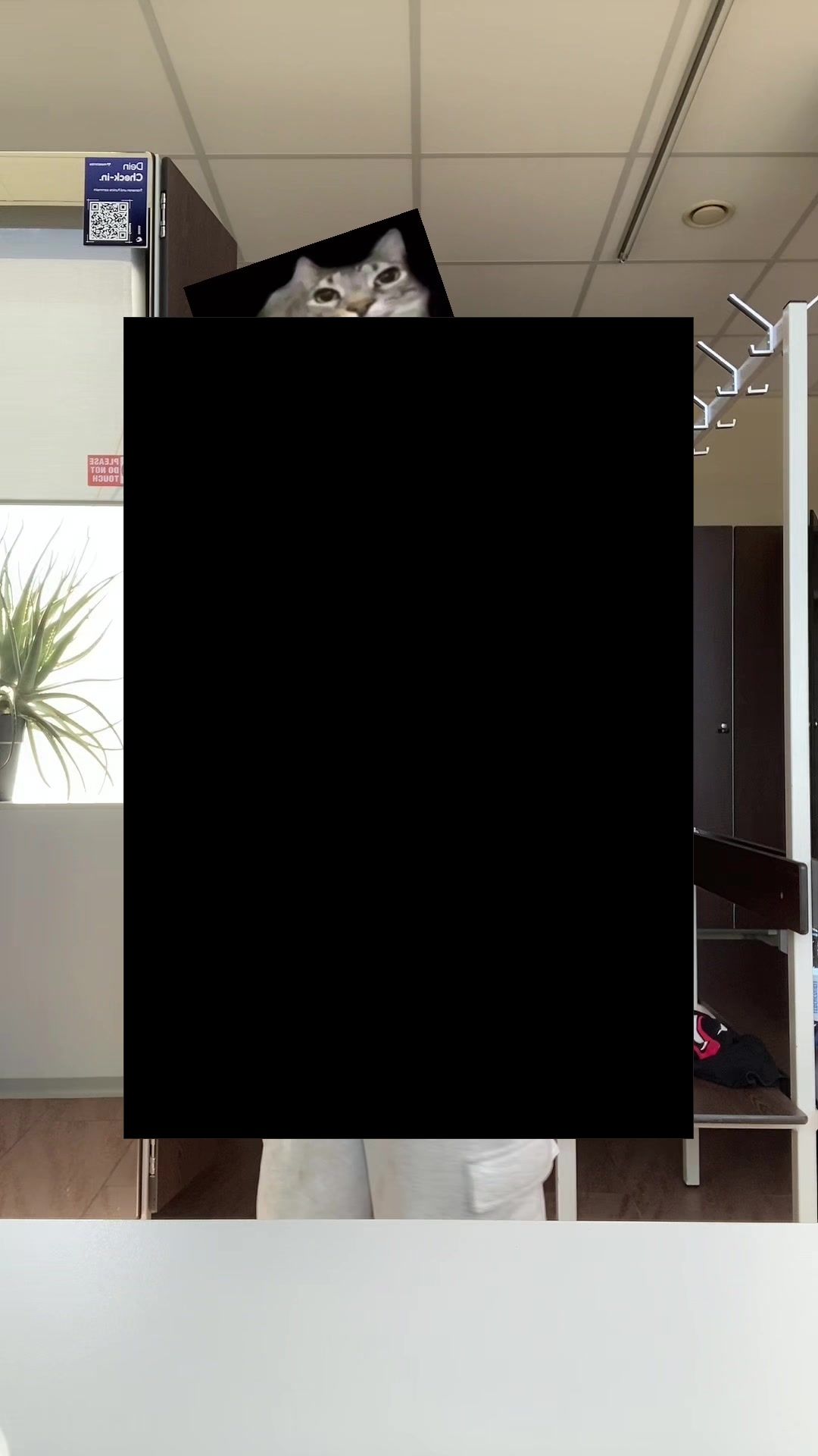 @𝑳𝒖𝒄𝒊𝒅