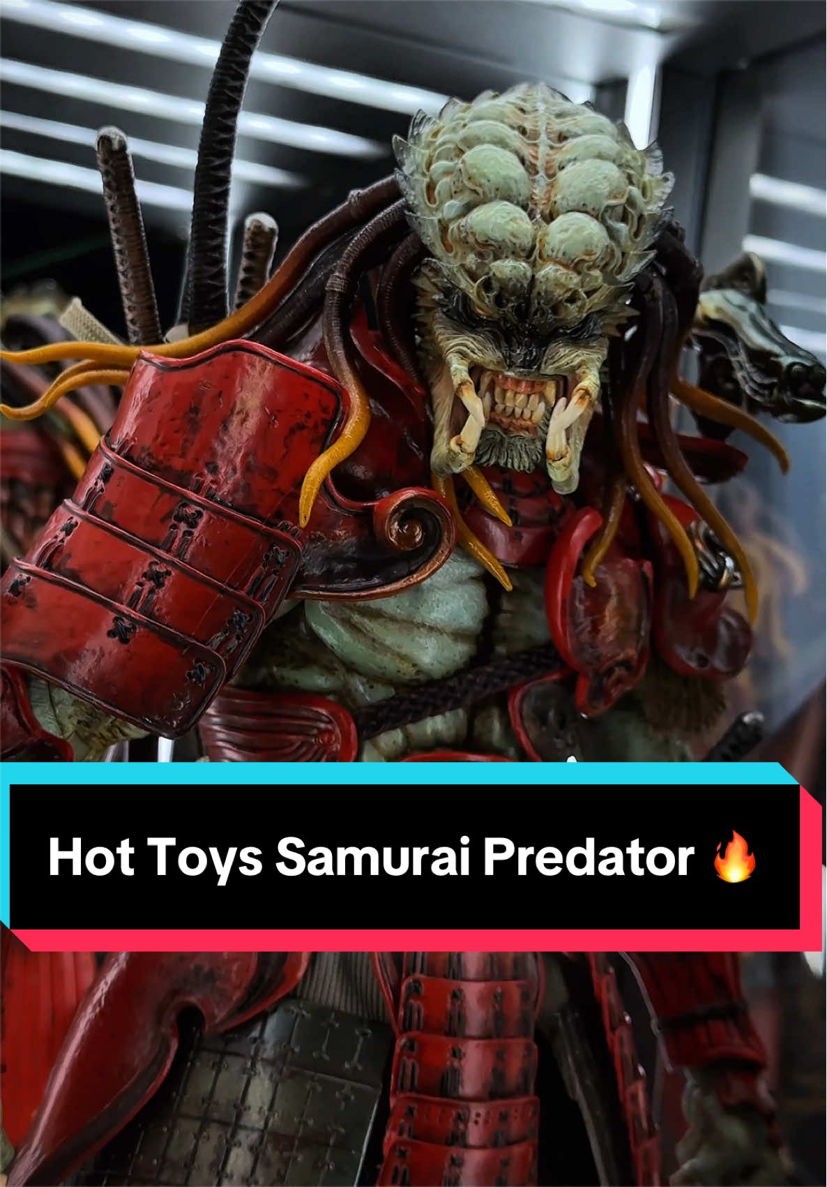 @InTheDetolf