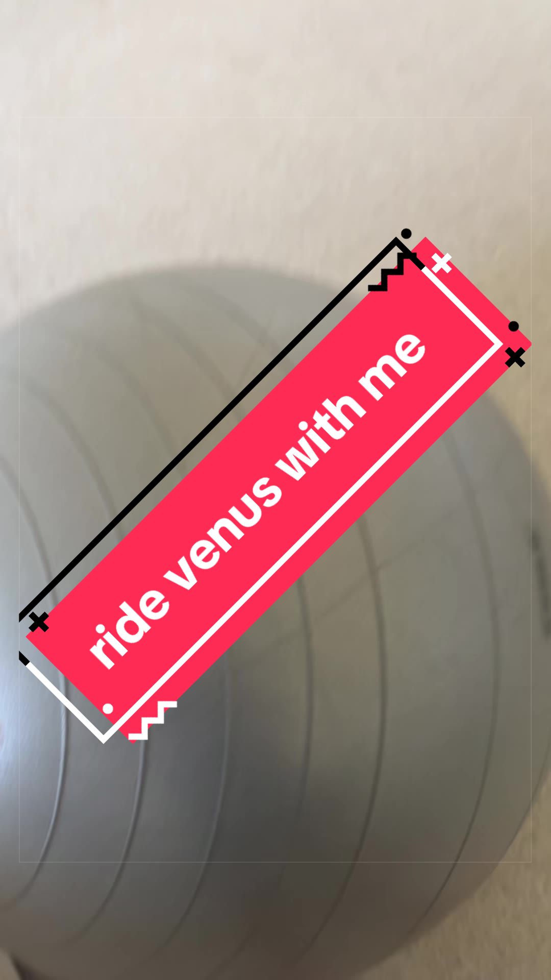 @that horse