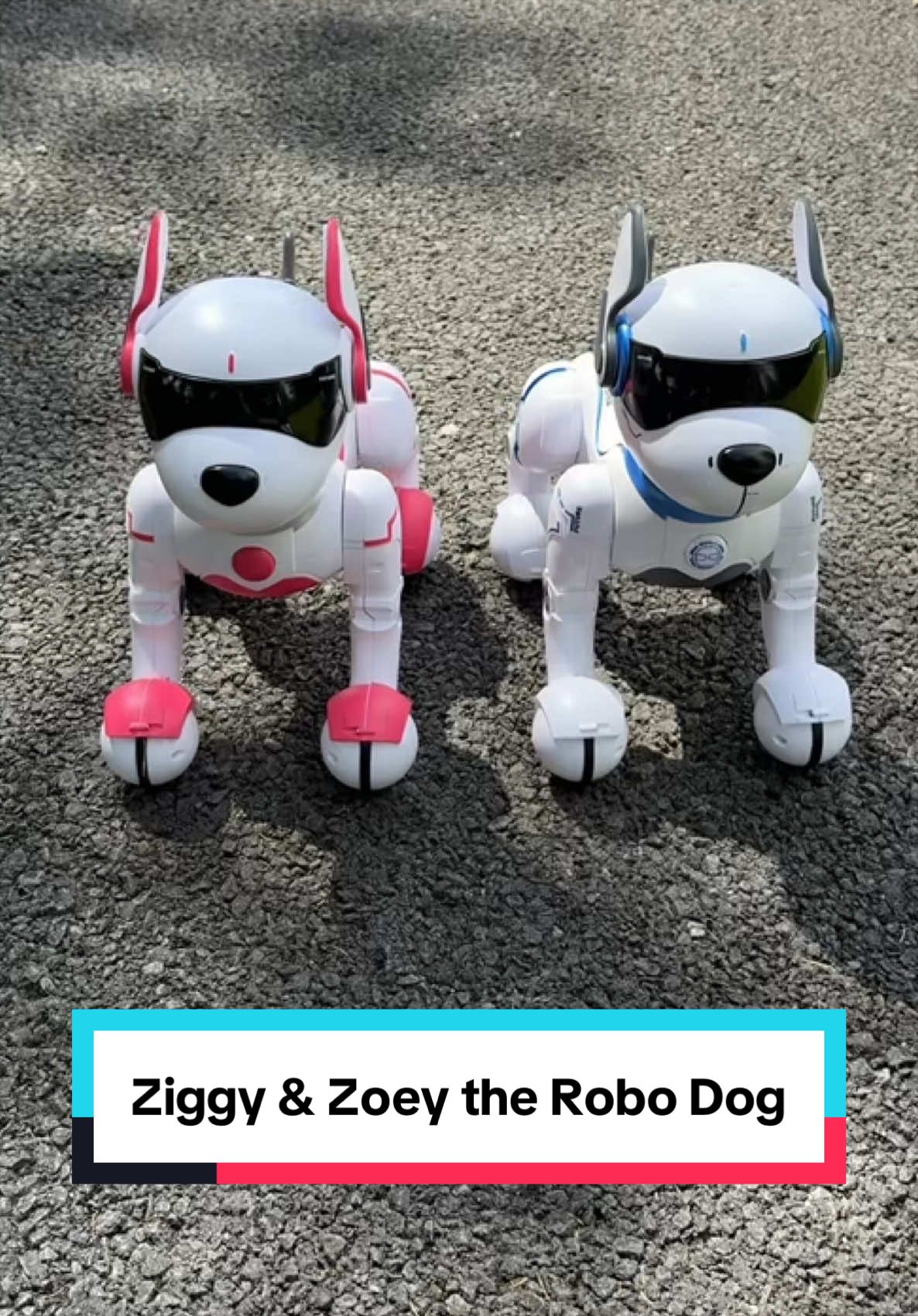 @Smyths Toys Superstores