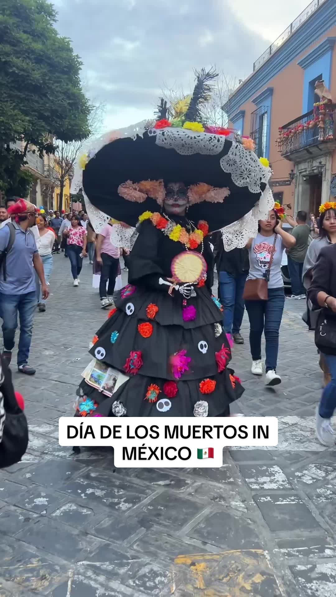 @dens_destinations
