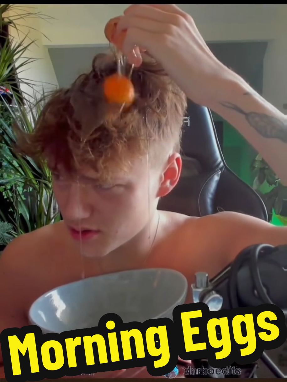 @darboedits