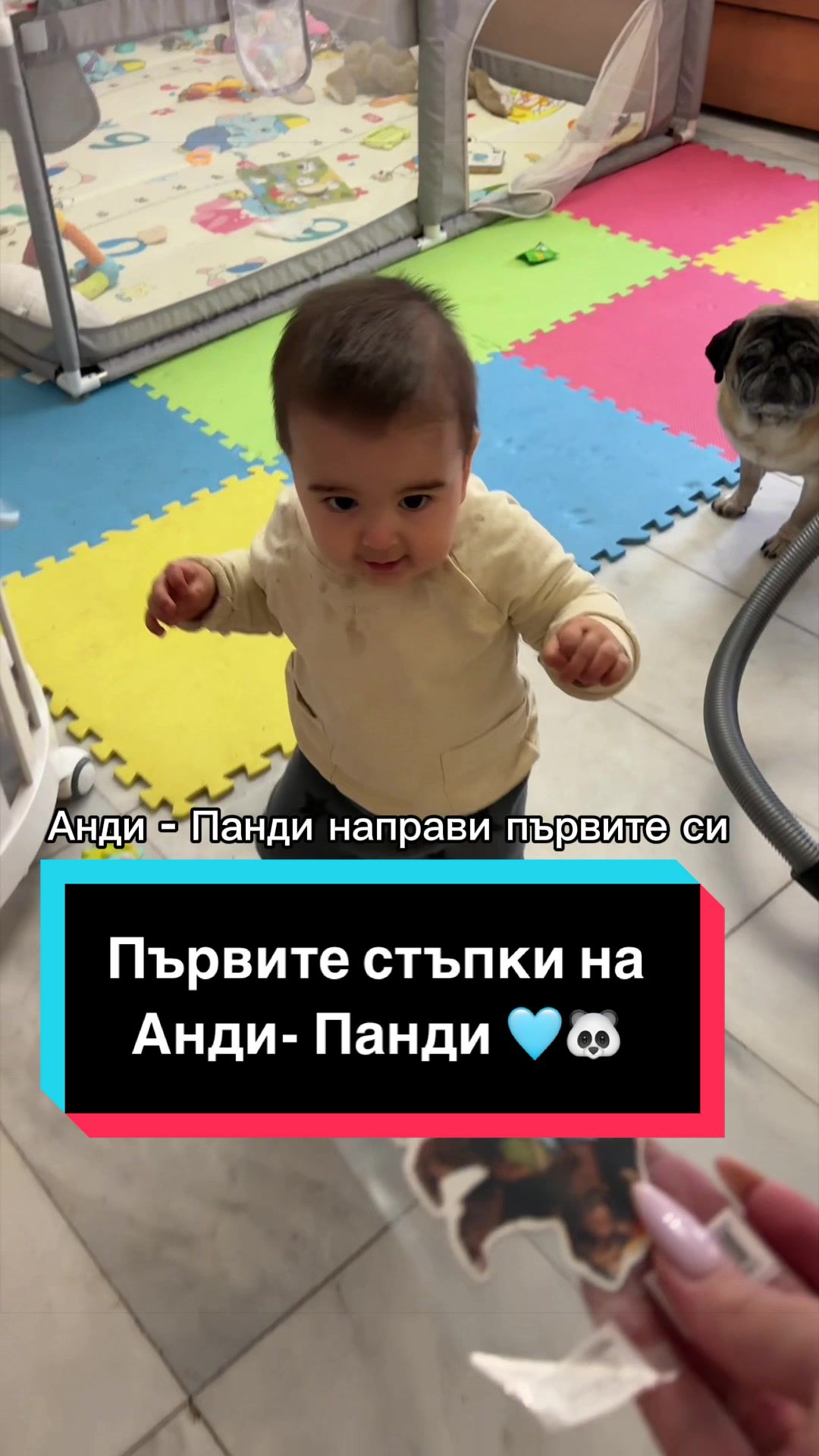 @🎀 Жизела 🎀