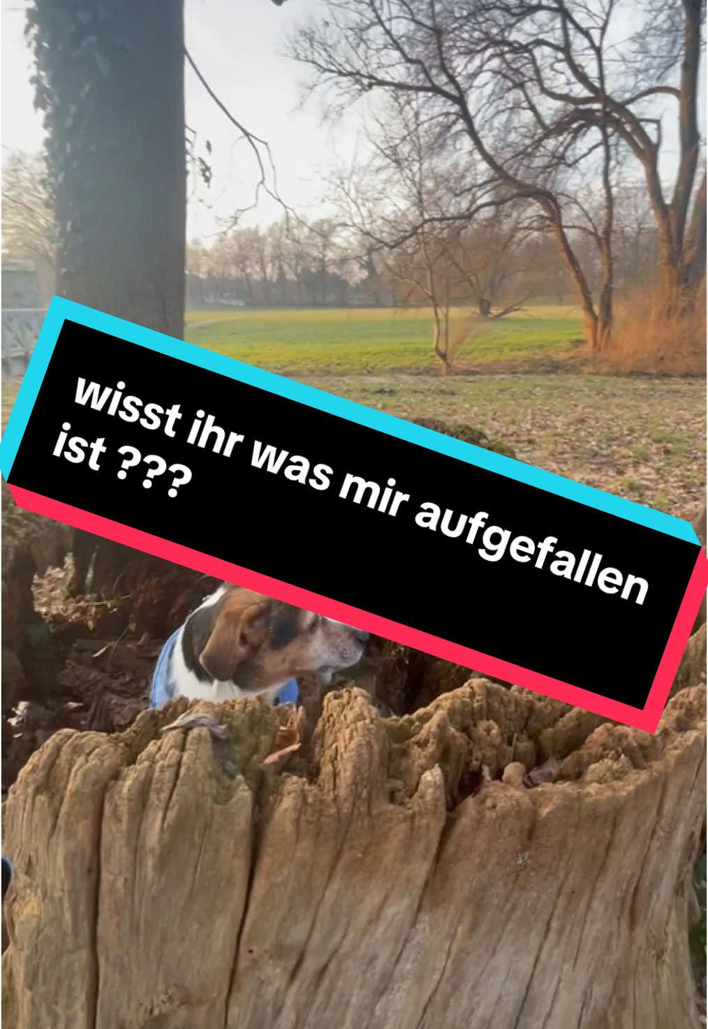 @Rocky und ich