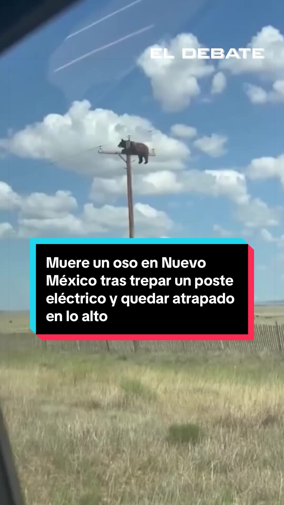 @El Debate
