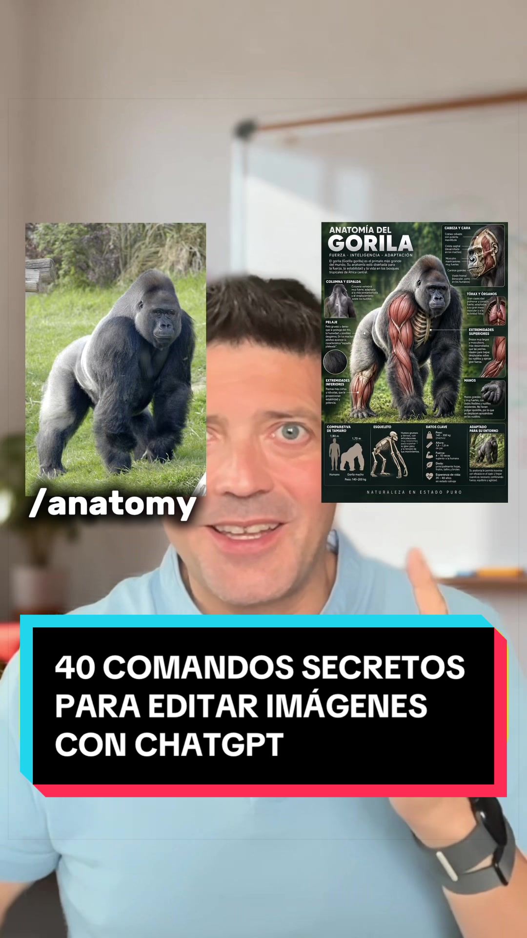@Raúl Ordóñez