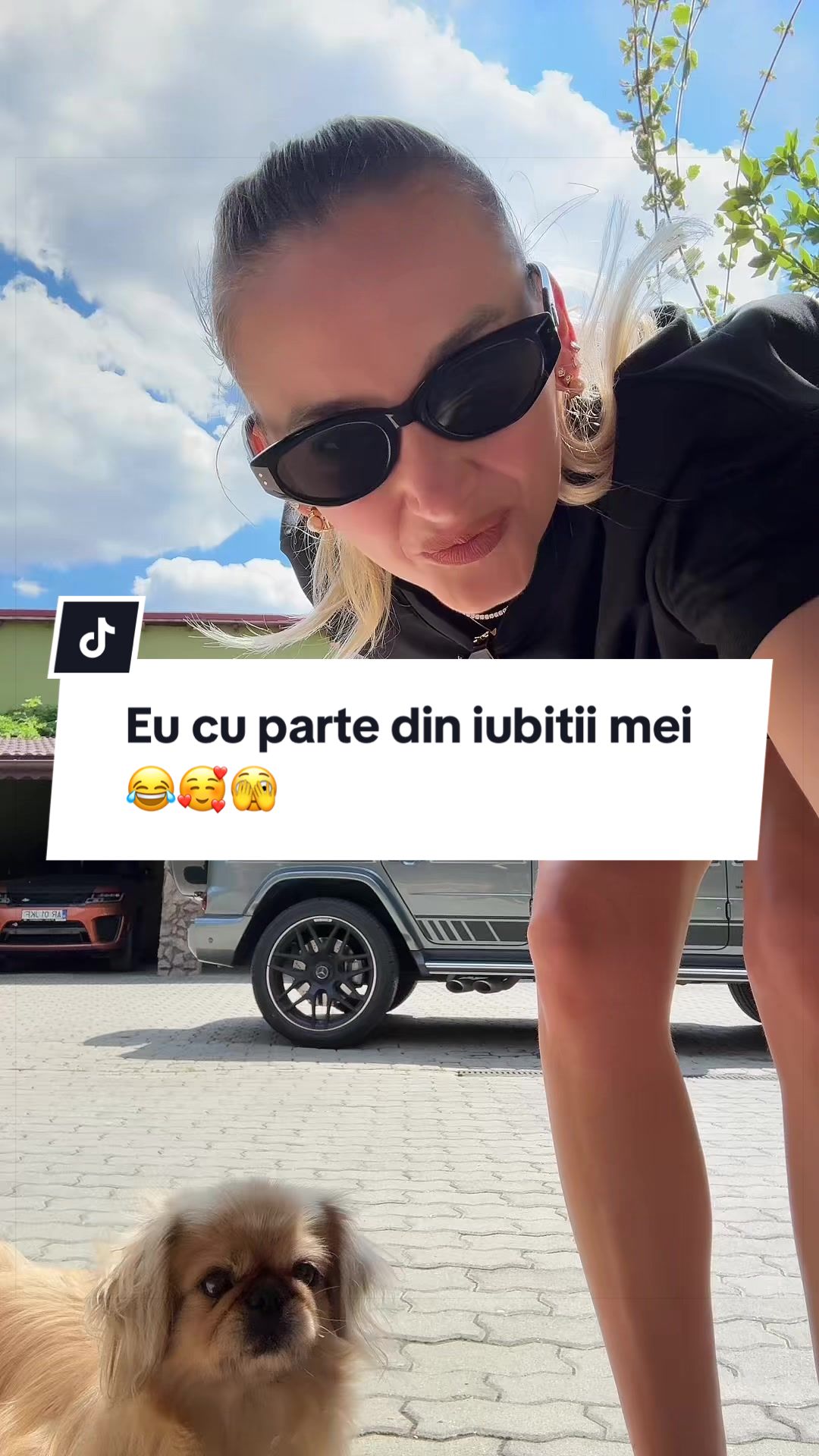 @MAG.ANDRA.BRUSH