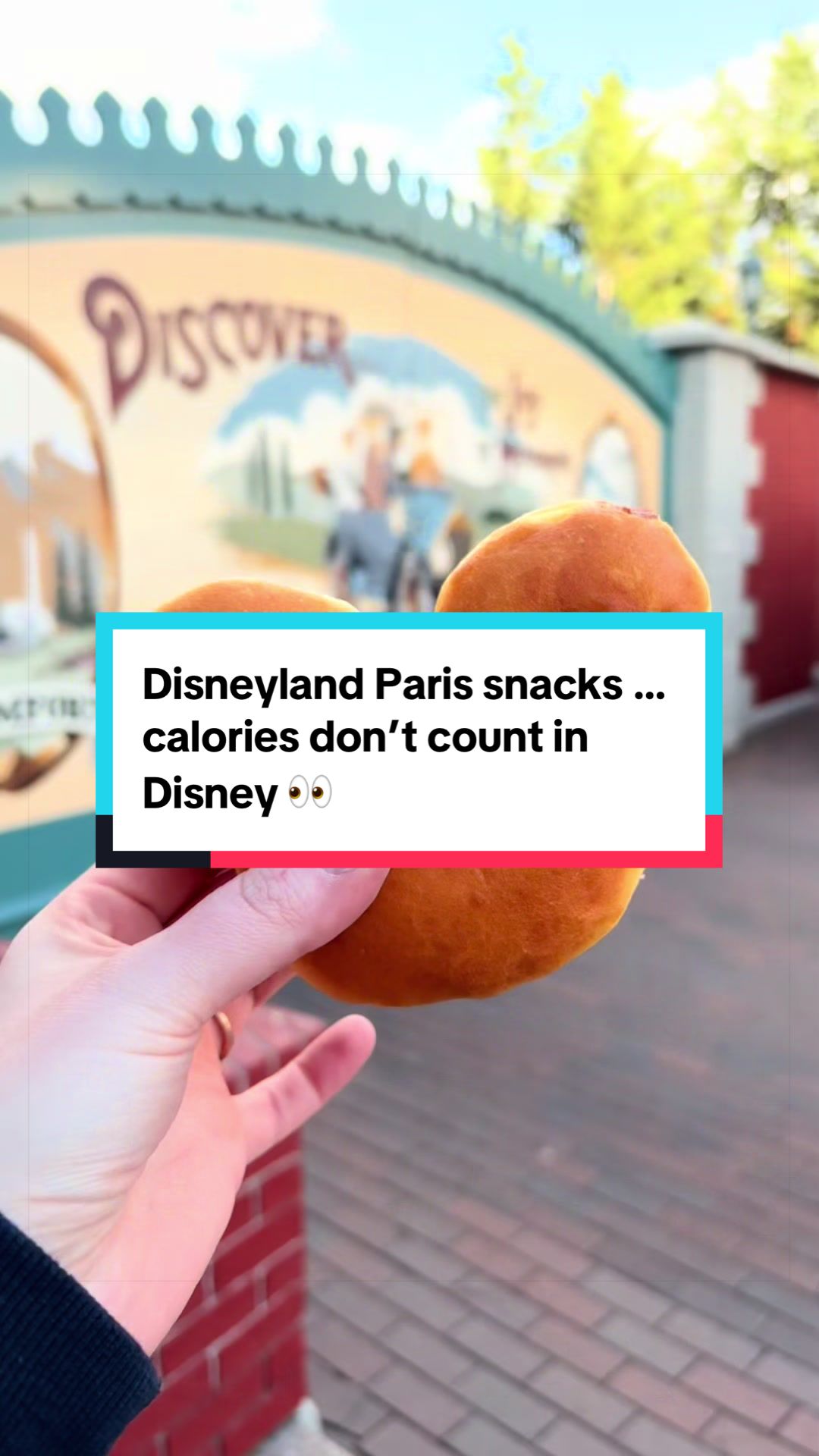 @Em & Step | Travel & Disney ✈️