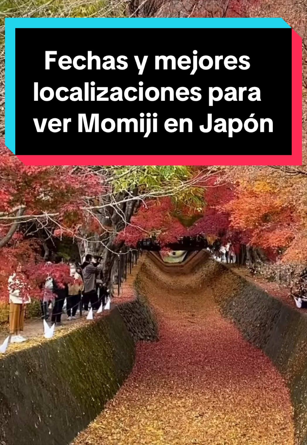 @Japón Alternativo