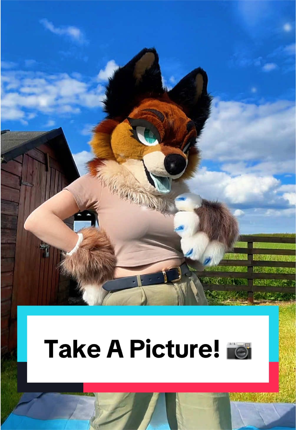 @LilFoxCori