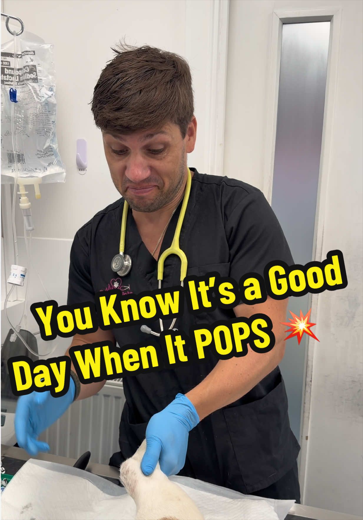 @Tomasthevet