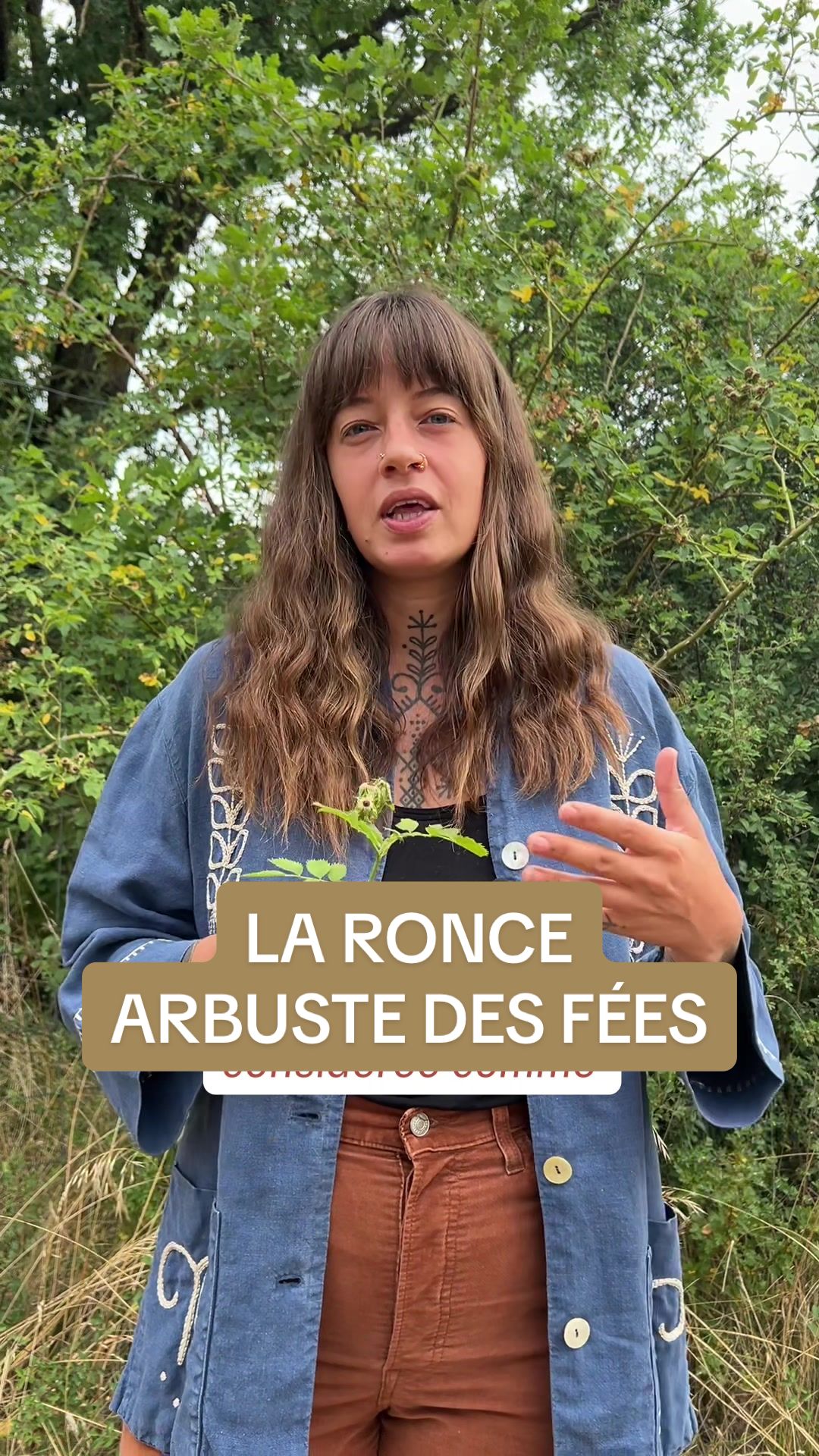 @animabotanica