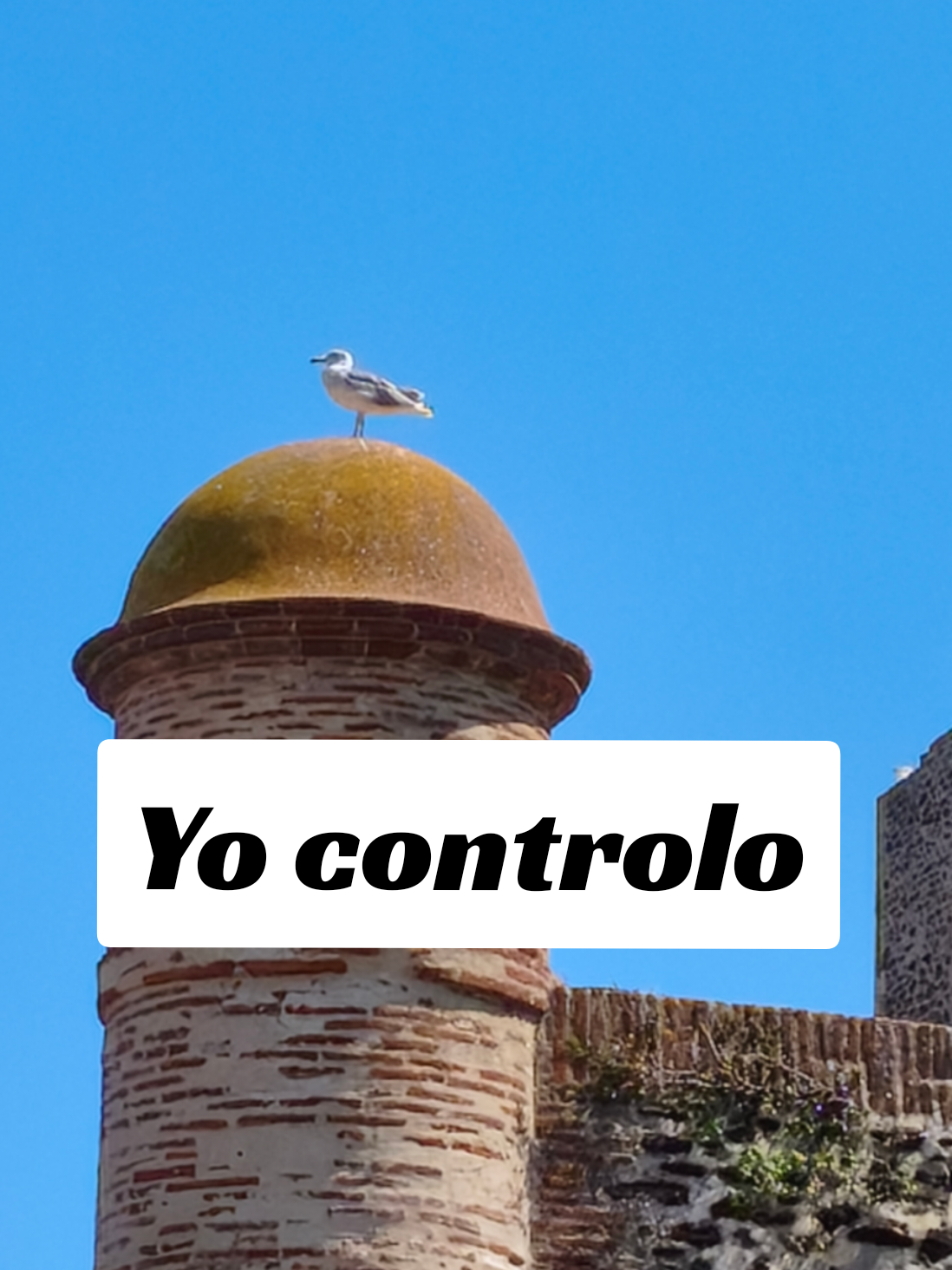 @Noe Coach