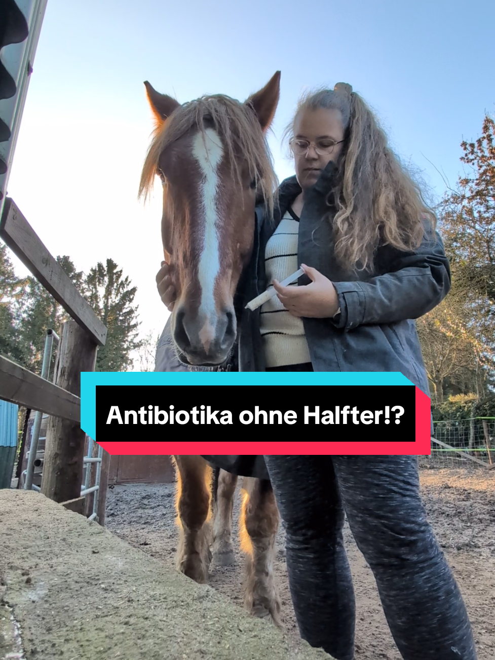 @Berrit Hellenthal