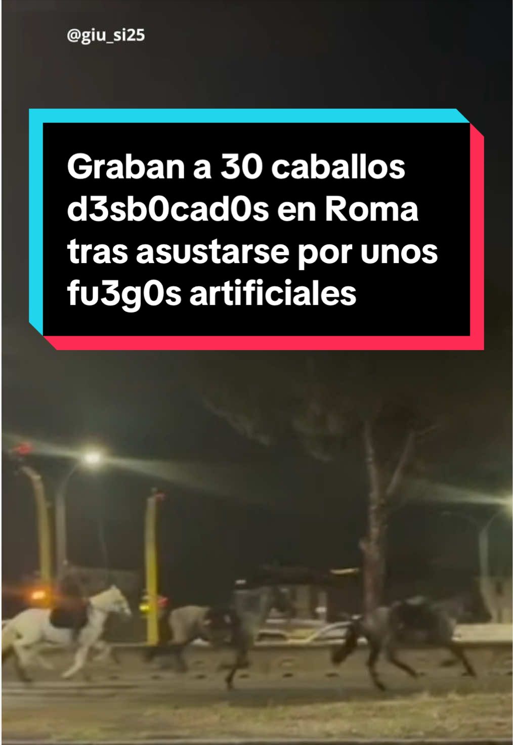 @EL ESPAÑOL 🦁
