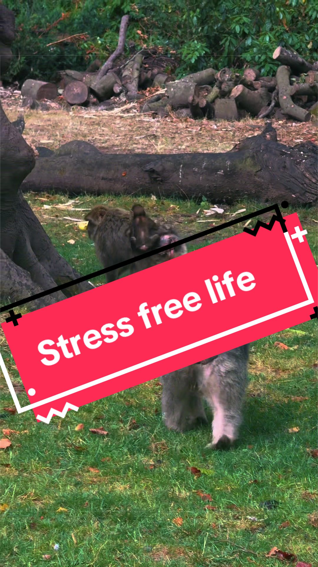 @Explore With Me