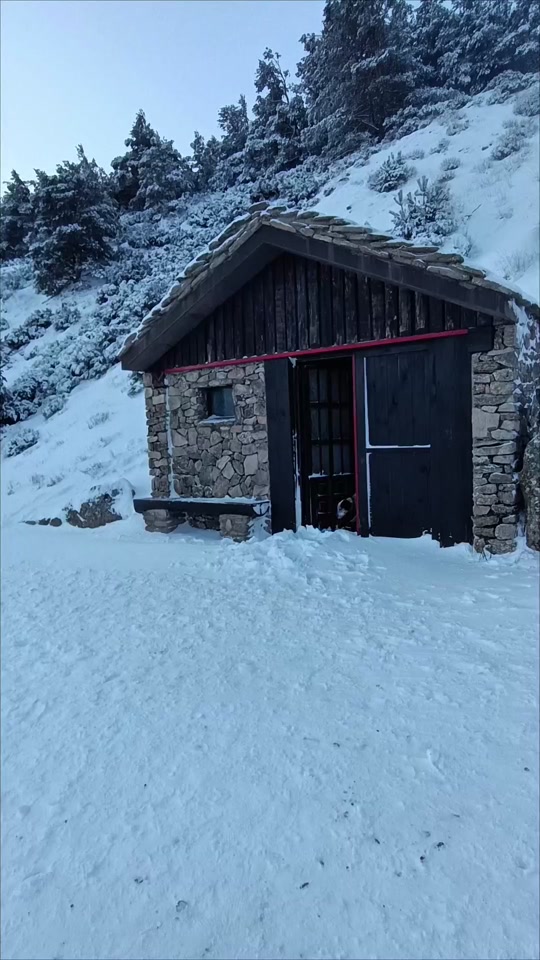 @Prnze