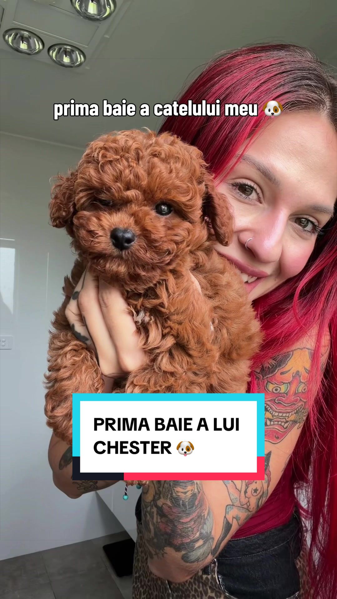 @Marilu Dobrescu